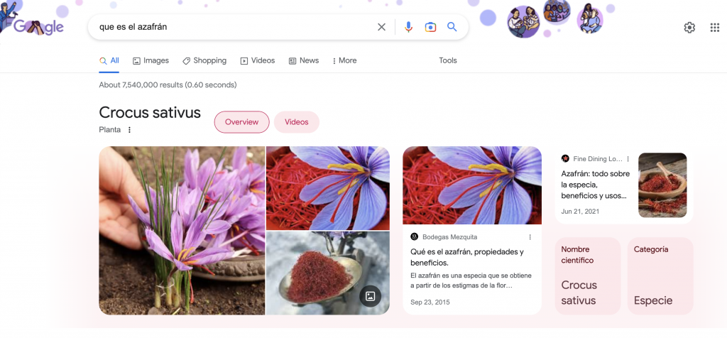 evolucion serp resultados de busqueda