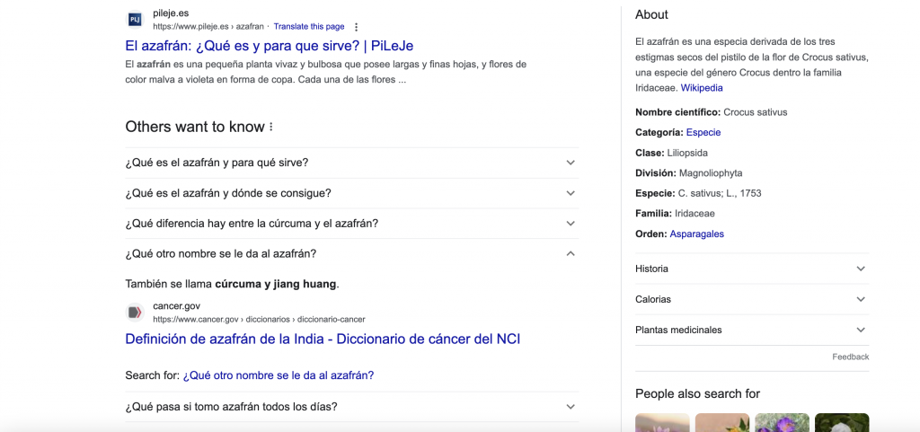 serp resultados busqueda seo